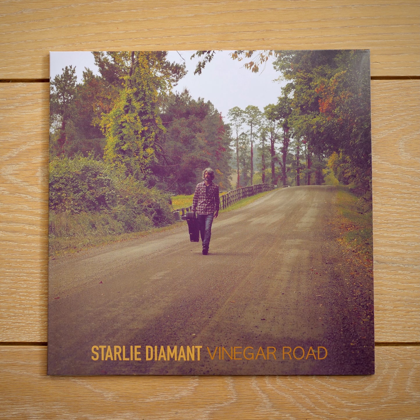 Vinegar Road (Vinyl)