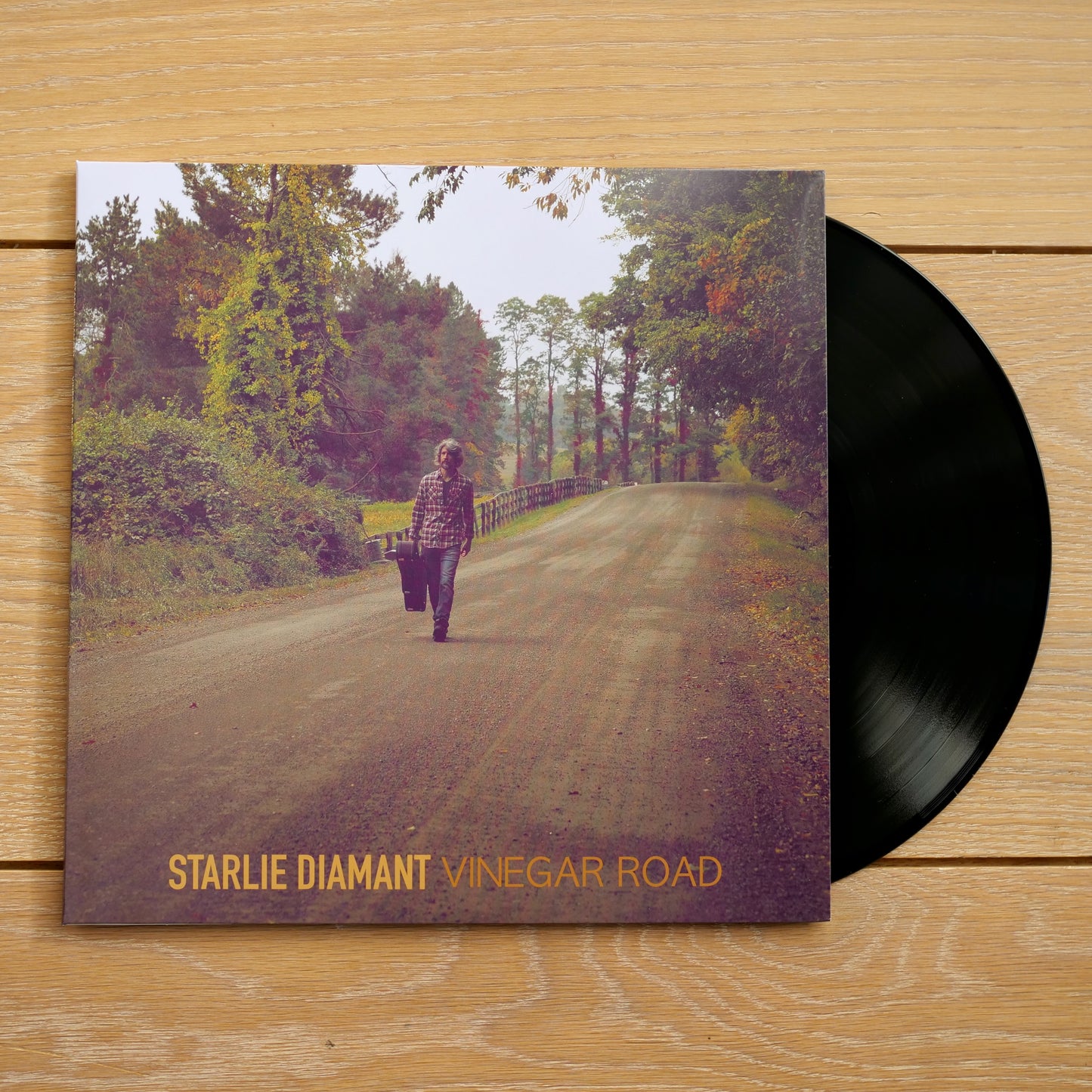 Vinegar Road (Vinyl)