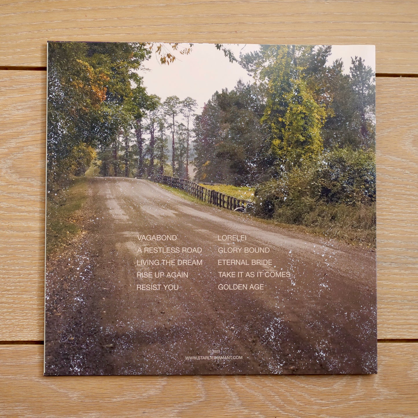Vinegar Road (Vinyl)