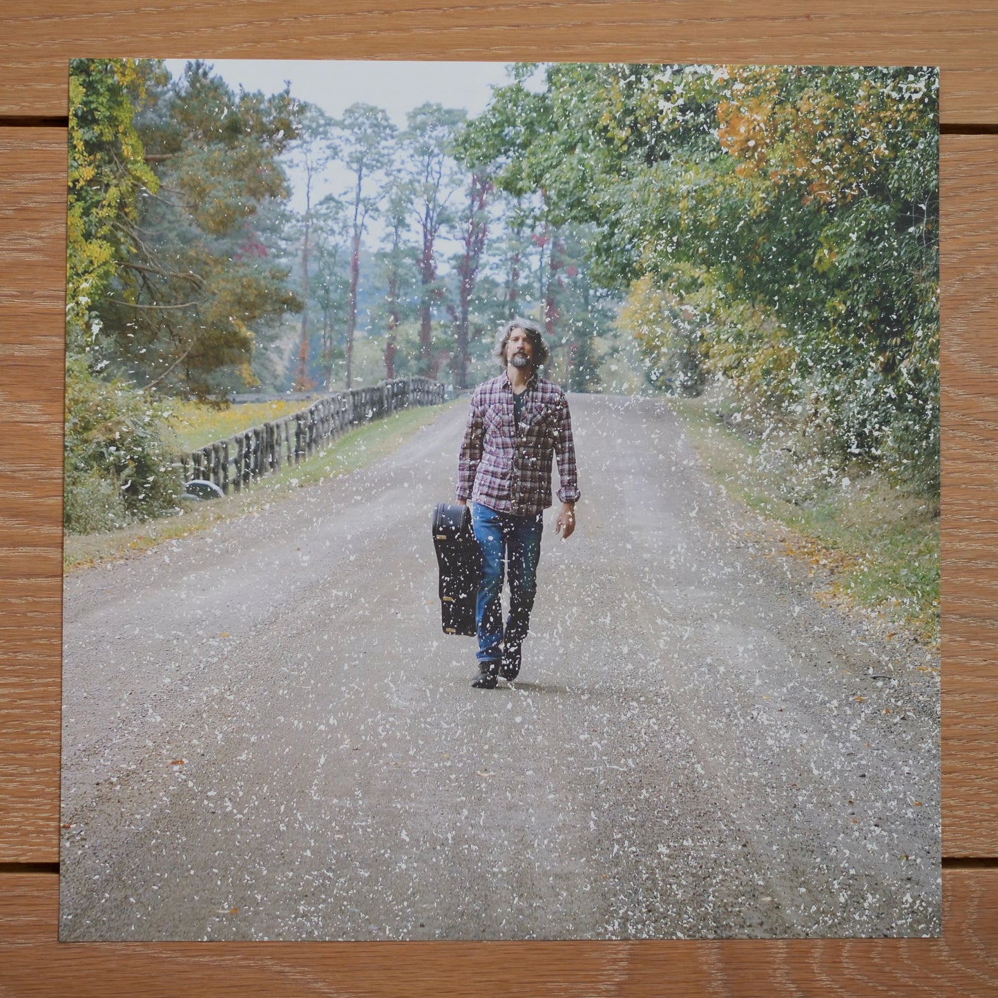 Vinegar Road (Vinyl)