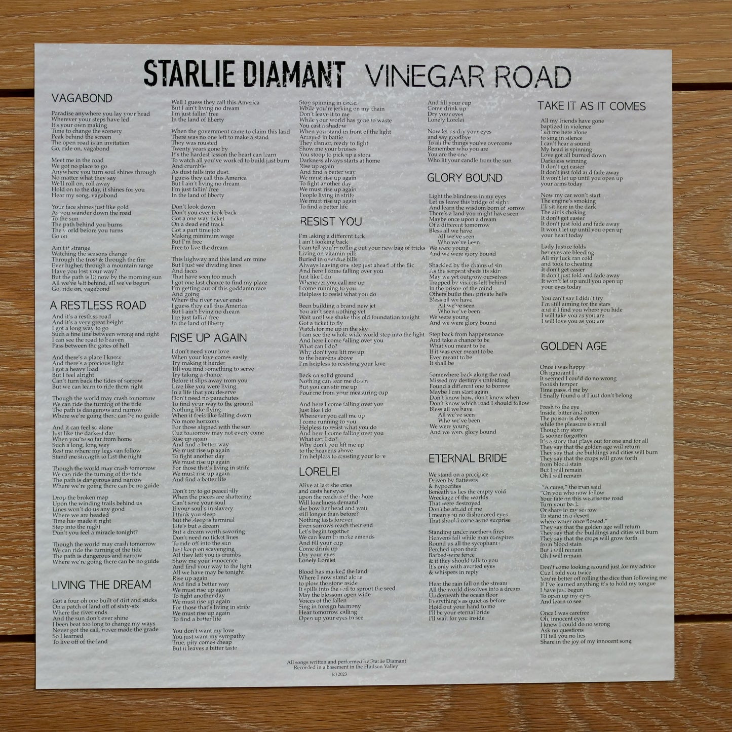 Vinegar Road (Vinyl)